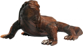 Komodo 30cm