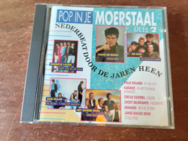Various artists met Pop in je moerstaal deel 2 1990 CD nr CD20262219