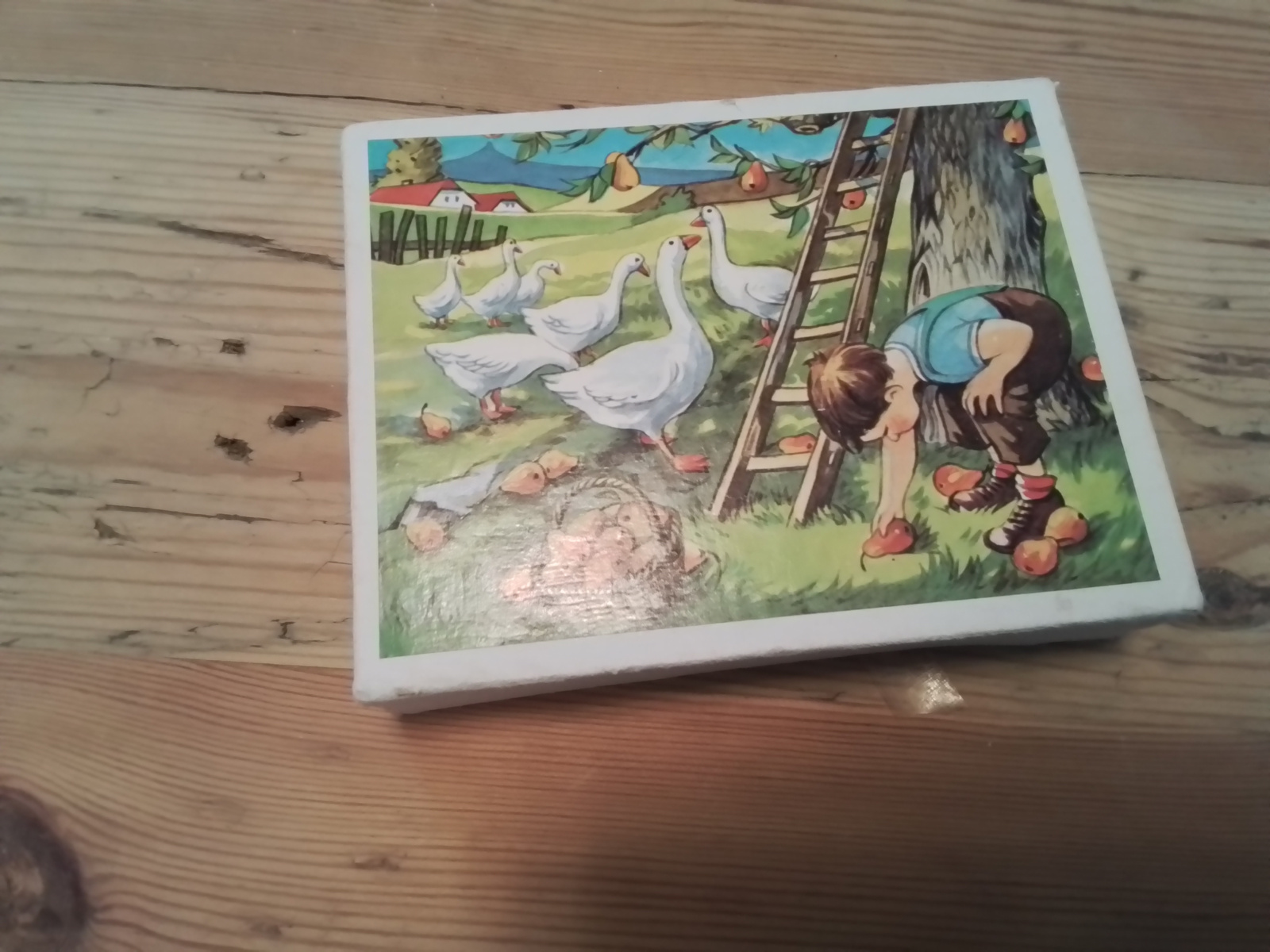 Oude houten blokpuzzel Landleven .Zes puzzles