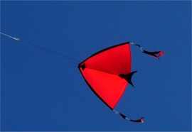 Fight Kite India R2F - Red