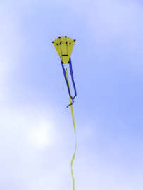 H-Kite R2f Yellow
