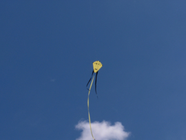 H-Kite R2f Yellow