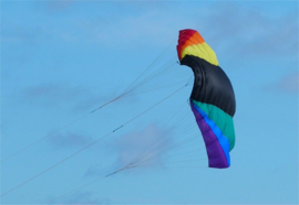 NasaWing9 DePower 150 Kite only