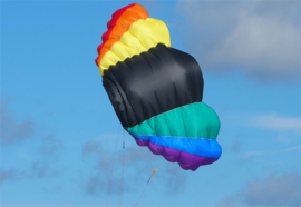 NasaWing9 DePower 150 Kite only