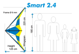 Smart 2.4 R2F