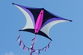 Sky Explorer R2F Pink