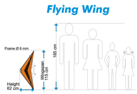 Flying Wing  R2F  (Orange/Black)