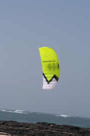 Wasabi 1.5 R2F - Spiderkites