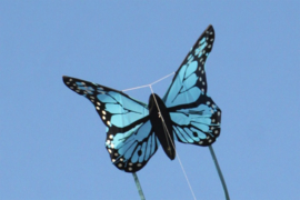 Bella Butterfly Blue R2F