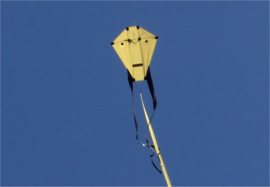 H-Kite R2f Yellow