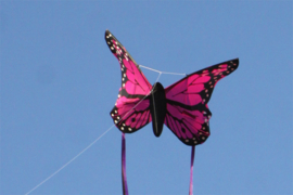Bella Butterfly Pink R2F