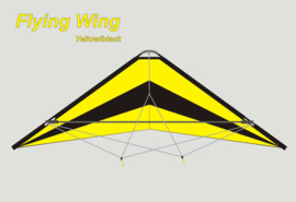 Flying Wing  R2F  (Yellow/Black)