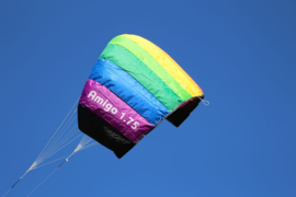 Spiderkites Amigo 1.75 R2F - Rainbow