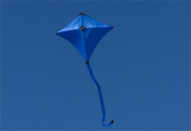 Kiddy R2F - Dark Blue