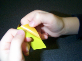 Sanjo Fight Kite / Re-Creatief