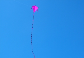 My Kite R2F - Pink