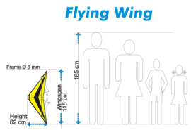 Flying Wing  R2F  (Yellow/Black)