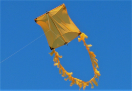 Genki Kite R2F - Gold