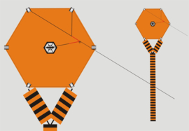 Six Cross Kite R2F - Orange