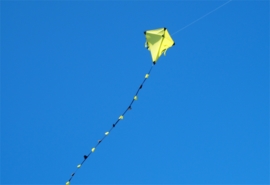 My Kite R2F - Yellow