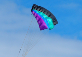 NasaWing9 DePower 150 Kite only