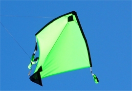 Fight Kite India R2F - Green