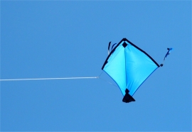 Fight Kite India R2F - Dark blue