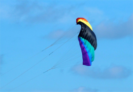 NasaWing9 DePower 150 Kite only