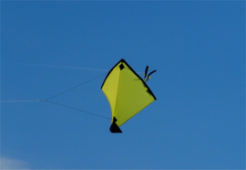 Fight Kite India R2F - Yellow