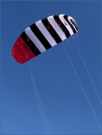 Zebra Z1 4.0 Kite only