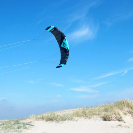 Paraflex Quad 3.9