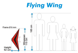 Flying Wing  R2F  (Red/Black)
