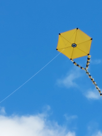 Six Cross Kite R2F - Gold