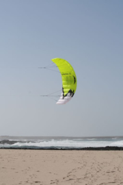 Wasabi 1.5 R2F - Spiderkites