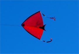 Fight Kite India R2F - Red