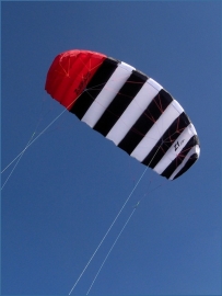 Zebra Z1 3.4 Kite only