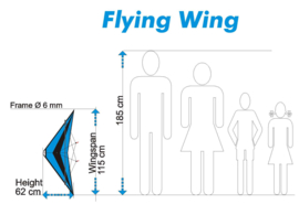 Flying Wing  R2F  (Blue/Black)