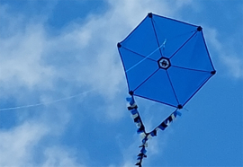 Six Cross Kite R2F - Dark Blue