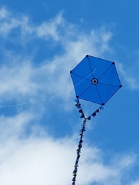 Six Cross Kite R2F - Dark Blue