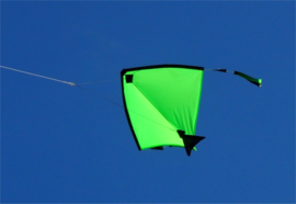 Fight Kite India R2F - Green