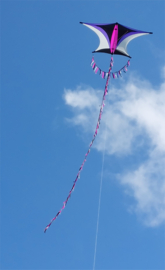 Sky Explorer R2F Pink