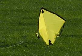 Fight Kite India R2F - Yellow