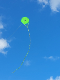 Six Cross Kite R2F - Green