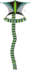 Sky Explorer R2F Green