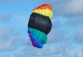 NasaWing9 DePower 150 Kite only