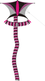 Sky Explorer R2F Pink