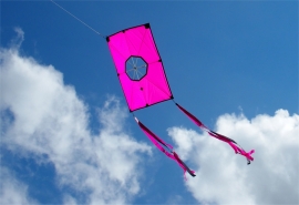Fight Kite Koreaan R2F - Pink