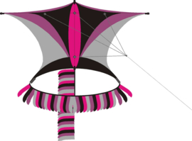 Sky Explorer R2F Pink