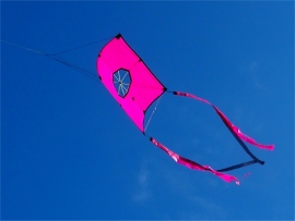 Fight Kite Koreaan R2F - Pink