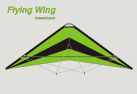 Flying Wing  R2F  (Green/Black)